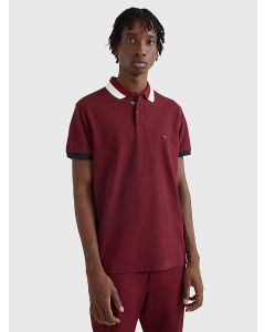 Tipped Detail Slim Fit Polo